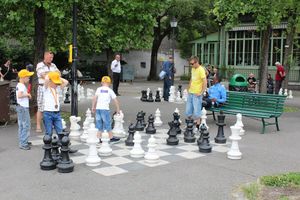 Юные шахматисты из Великих Лук посетили Швейцарию (фото)