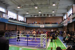 В Великих Луках прошел межрегиональный Открытый Кубок по смешанному боевому единоборству (фото)