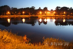 В Великих Луках отметили День России