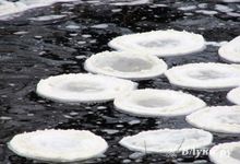 Удивительное природное явление в Великих Луках (ФОТО)