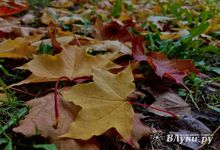 Прогноз погоды в Великих Луках на 28 октября