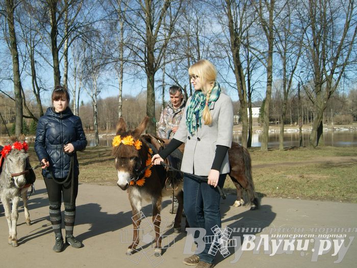 Весенняя ярмарка 2013 прошла в Великих Луках