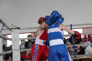 В Великих Луках прошло Первенство города по боксу (ФОТО)