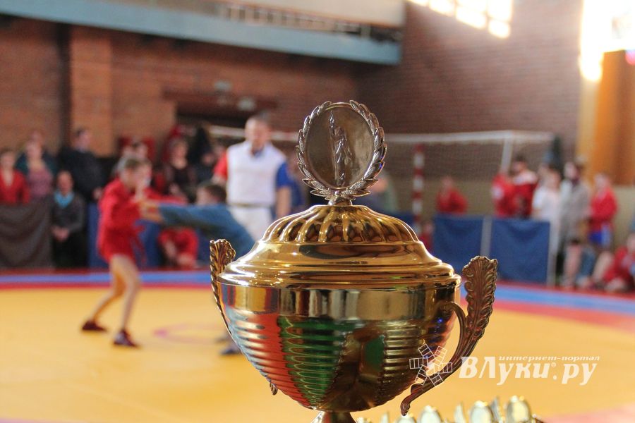 Великолучане завоевали награды турнира по самбо «Память» (ФОТО)