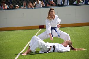 День спорта в День города: сила, мужество и грация (ФОТО)