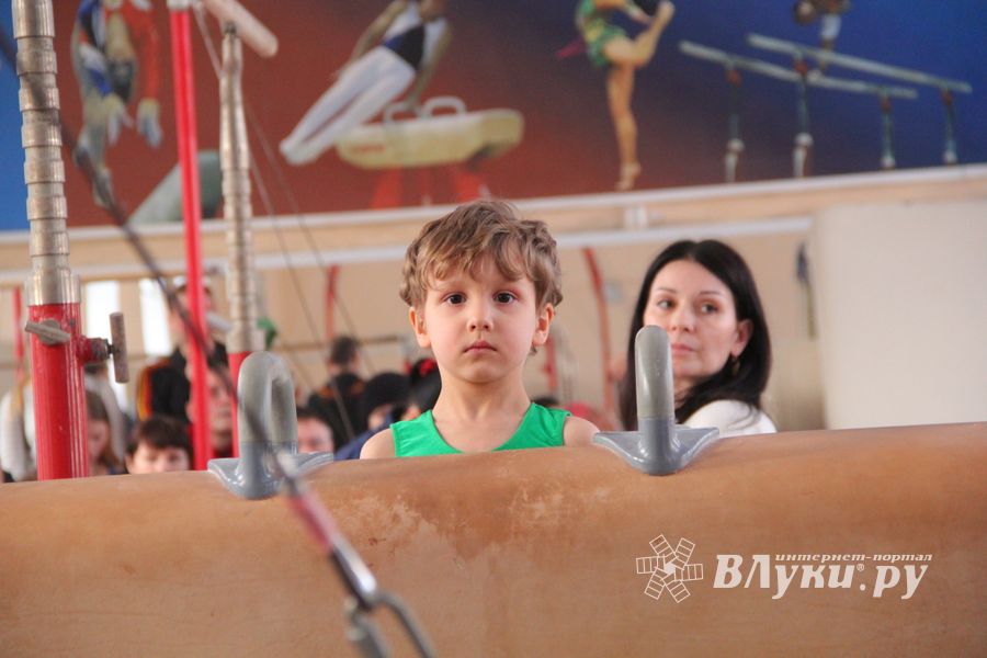 В ДЮСШ «Атлетика» прошли соревнования по спортивной гимнастике (ФОТО)