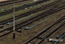 В Новосокольническом районе пассажирский поезд сбил лося