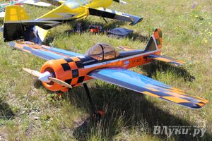 В Великих Луках прошел Фестиваль авиамодельного спорта (фото)