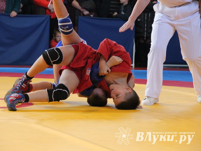 Великолучане завоевали награды турнира по самбо «Память» (ФОТО)