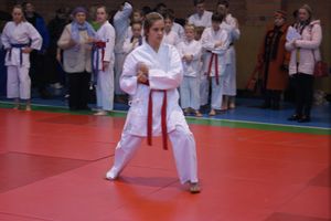В Великих Луках прошли соревнования по каратэ (ФОТО)