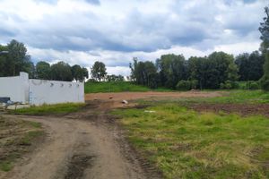 В парке «Петровском» появляются пешеходные дорожки (ФОТО)