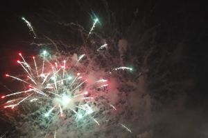 В Псковской области ребёнок получил взрывные травмы