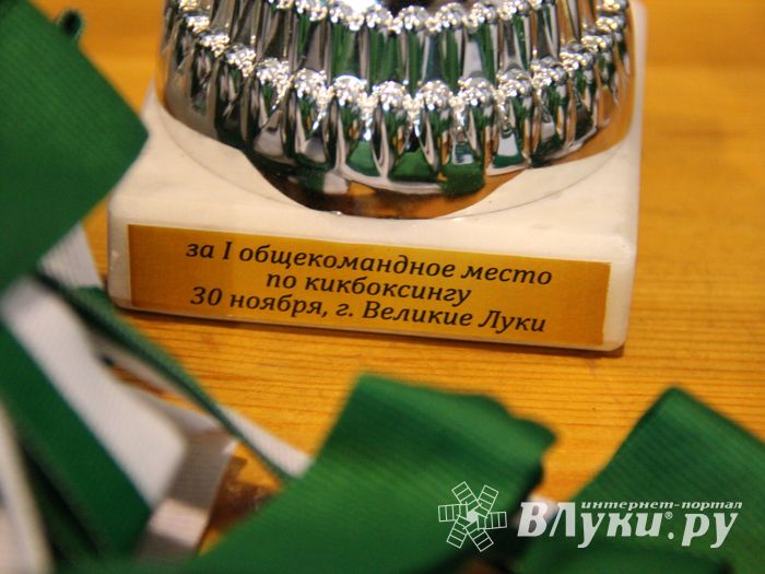 В Великих Луках прошли соревнования по кикбоксингу (ФОТО)