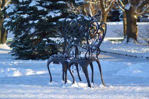 Автор фото Алина Евстигнеева