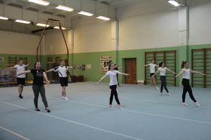 В Великих Луках проходят соревнования по гимнастике (ФОТО)