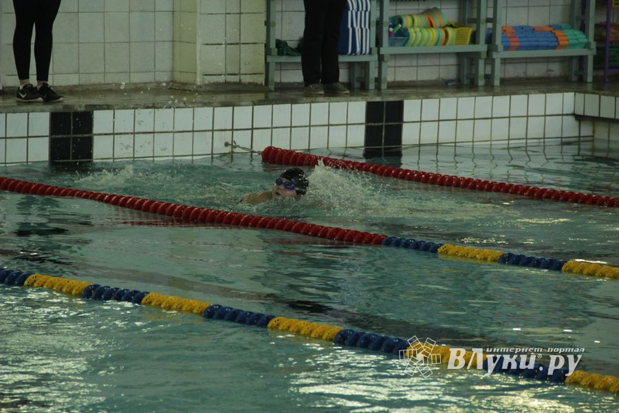 Первый «Быстрый кашалот» в Великих Луках  (фото)