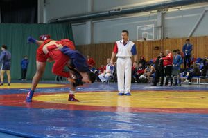 Всероссийские соревнования по самбо проходят в Великих Луках (ФОТО, 0+)