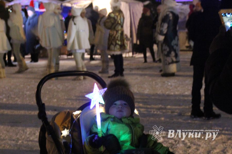 В Великих Луках зажглась новогодная ёлка (ФОТО)