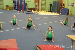 В Великих Луках состоялось Первенство по командной гимнастике (фото)