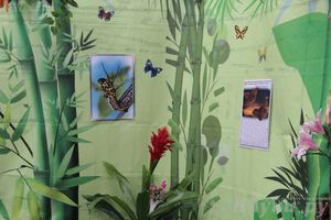 Обзор выставок Краеведческого музея