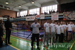 В Великих Луках прошел межрегиональный Открытый Кубок по смешанному боевому единоборству (фото)