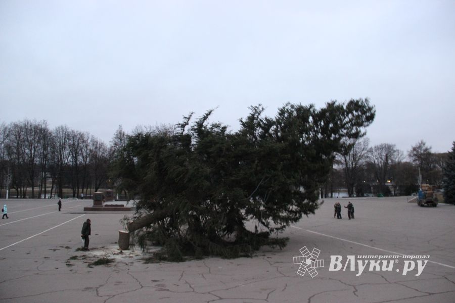 Необычное украшение сняли с главной ёлки Великих Лук (ФОТО)