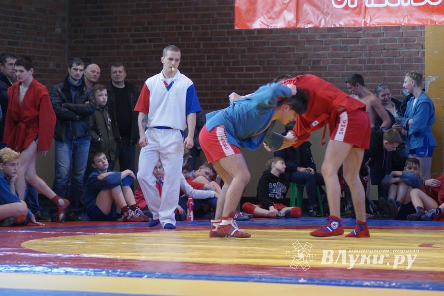 Великолучане завоевали призовые места на турнире по самбо «Память» (ФОТО)