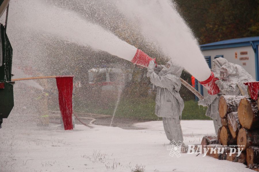 В Великих Луках тушили вагон поезда (ФОТО)