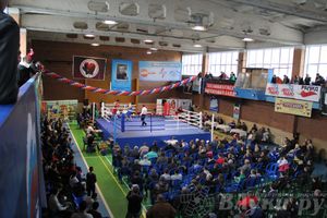 16-й Международный турнир по боксу (фото)