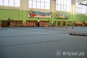 В Великих Луках состоялось Первенство по командной гимнастике (фото)
