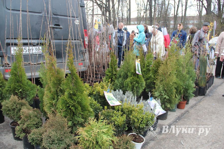 В Великих Луках прошла универсальная ярмарка «Весна-2019» (ФОТО)