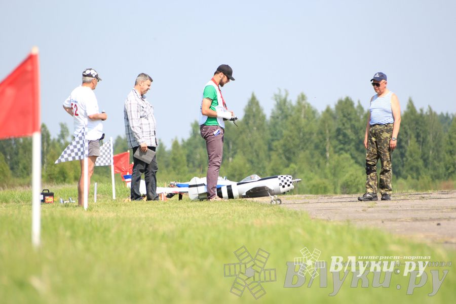IV Фестиваль авиамодельного спорта России в классе радиоуправляемых моделей
