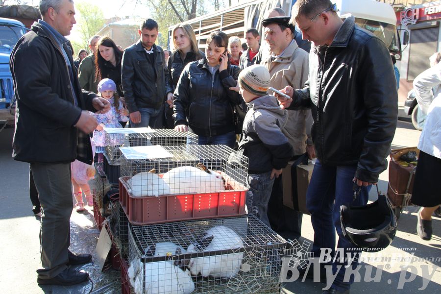 Традиционная весенняя ярмарка прошла в Великих Луках