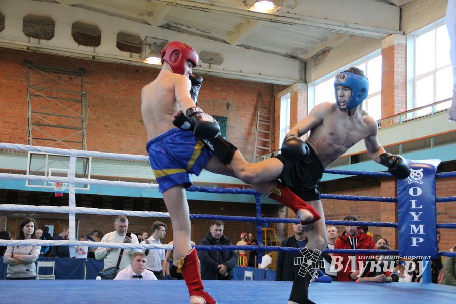 В Великих Луках прошли соревнования по кикбоксингу (ФОТО)