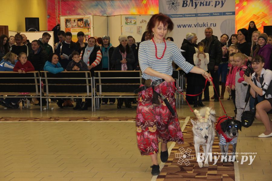 Всероссийская выставка собак в Великих Луках (фото)
