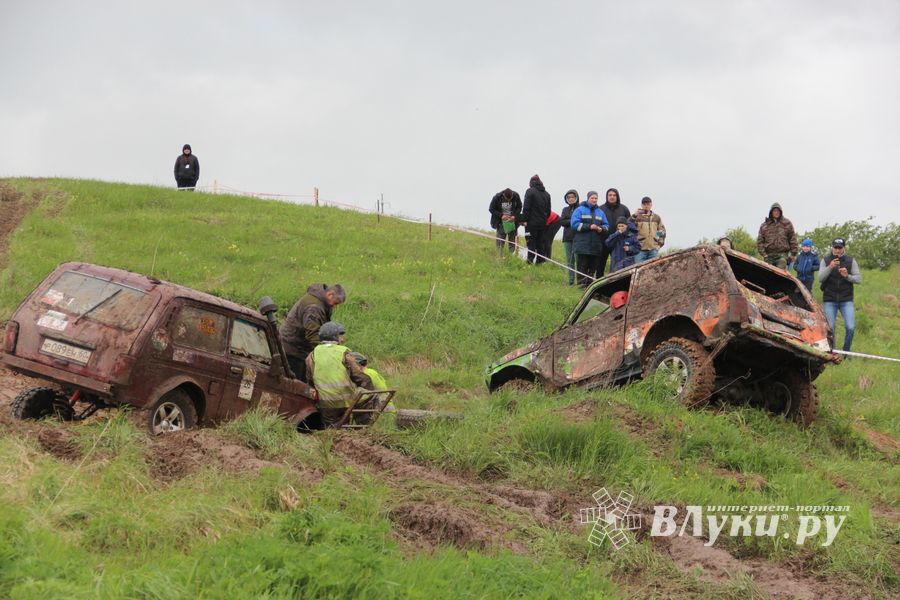 Кураж (ФОТО)