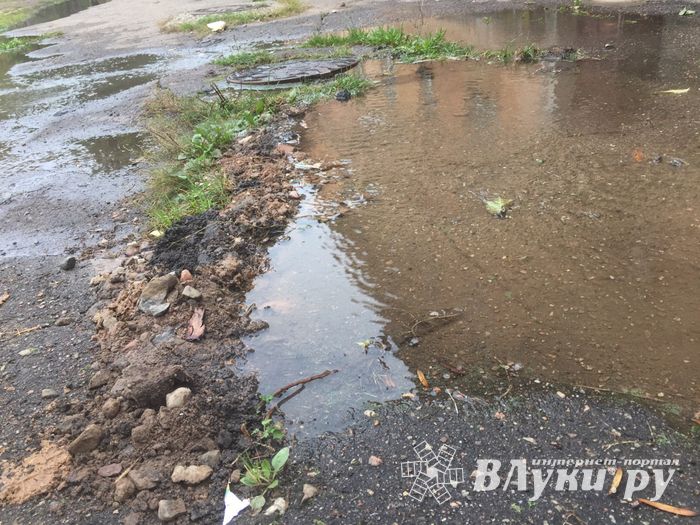 В Великих Луках забил «гейзер», по словам коммунальщиков, «рядовая ситуация» (ФОТО+ЗВУК)