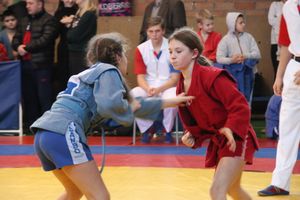 Открытый турнир по самбо «Новогодняя звезда-2019» прошел в Великих Луках (ФОТО)