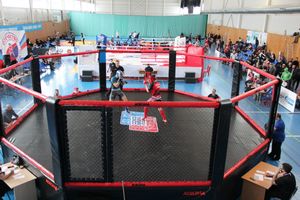 В Великих Луках прошло Первенство России по смешанному боевому единоборству (ФОТО)