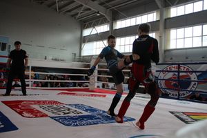 Открытый кубок по смешанному боевому единоборству ММА прошел в Великих Луках (ФОТО)