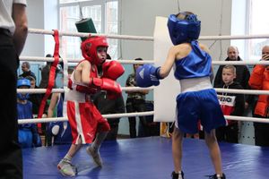 В Великих Луках завершились соревнования по боксу (ФОТО)