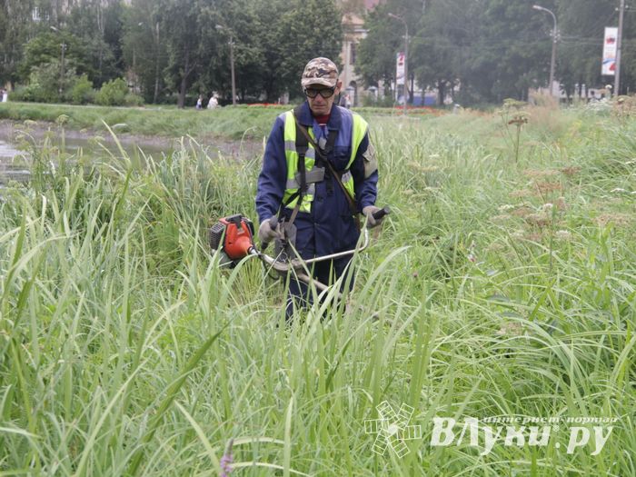 Куда утекла Ловать (ФОТО)