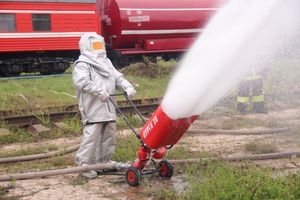 В Великих Луках тушили поезд (ФОТО)