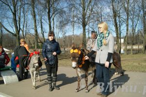 Весенняя ярмарка 2013 прошла в Великих Луках