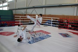 В Великих Луках проходит открытый кубок по смешанному боевому единоборству ММА (ФОТО) (12+)