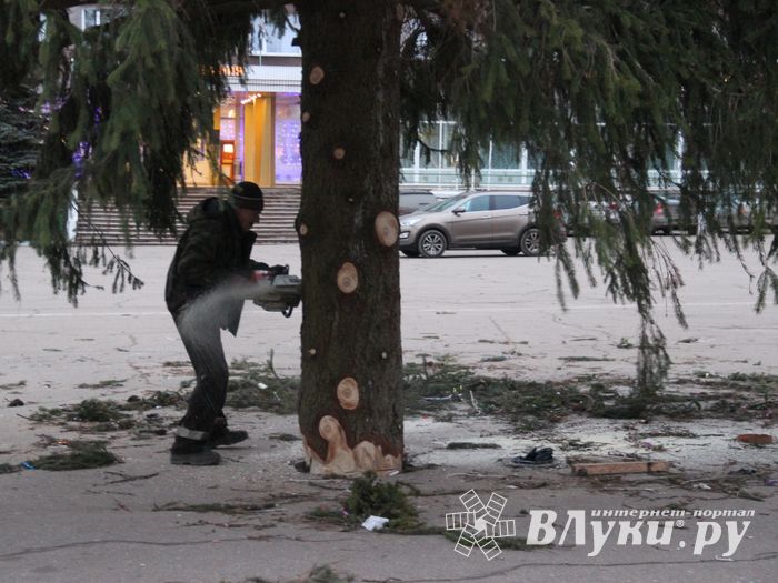 Необычное украшение сняли с главной ёлки Великих Лук