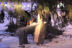 Новогодняя ёлочка приехала наконец в Великие Луки (ФОТО)