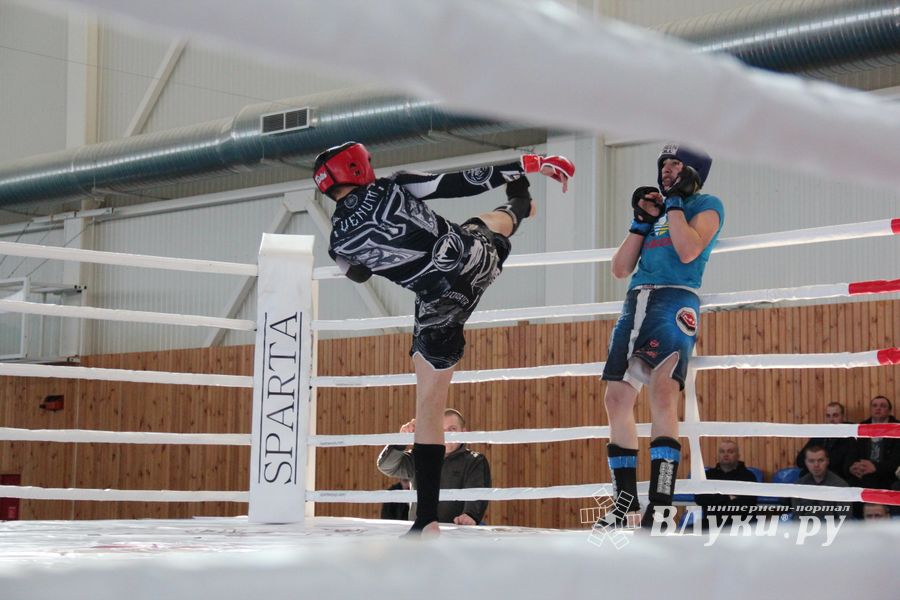 В Великих Луках проходит открытый кубок по смешанному боевому единоборству ММА (ФОТО) (12+)