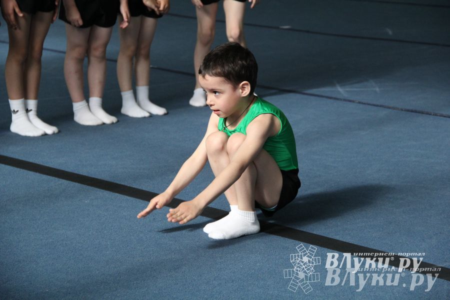 В Великих Луках состоялось Первенство по командной гимнастике (фото)