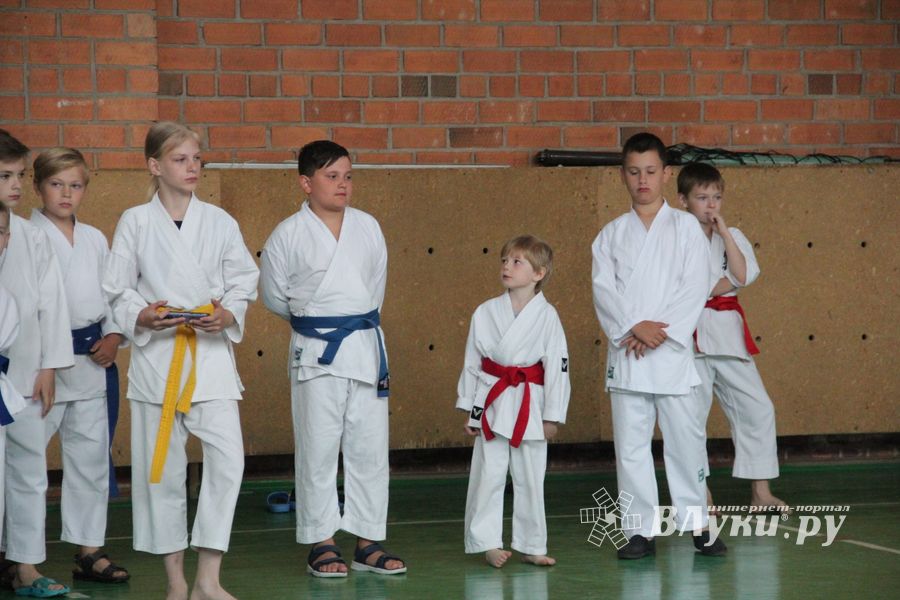 Открытый Кубок города Великие Луки по каратэ WKF (ФОТО)